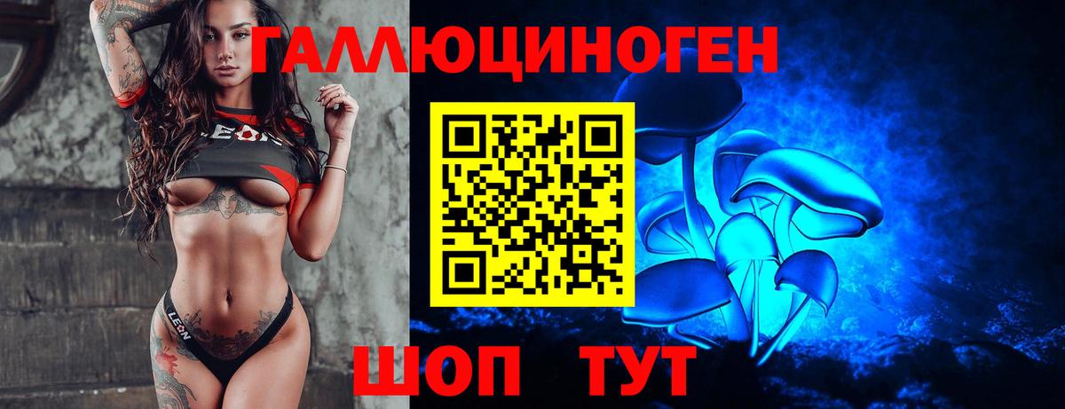 Галлюциногенные грибы мухоморы  Вход с VPN  купить наркотики цена  Михайловка 
